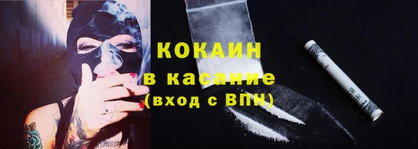 ешки Арсеньев