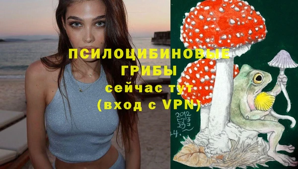ешки Арсеньев