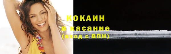 ешки Арсеньев